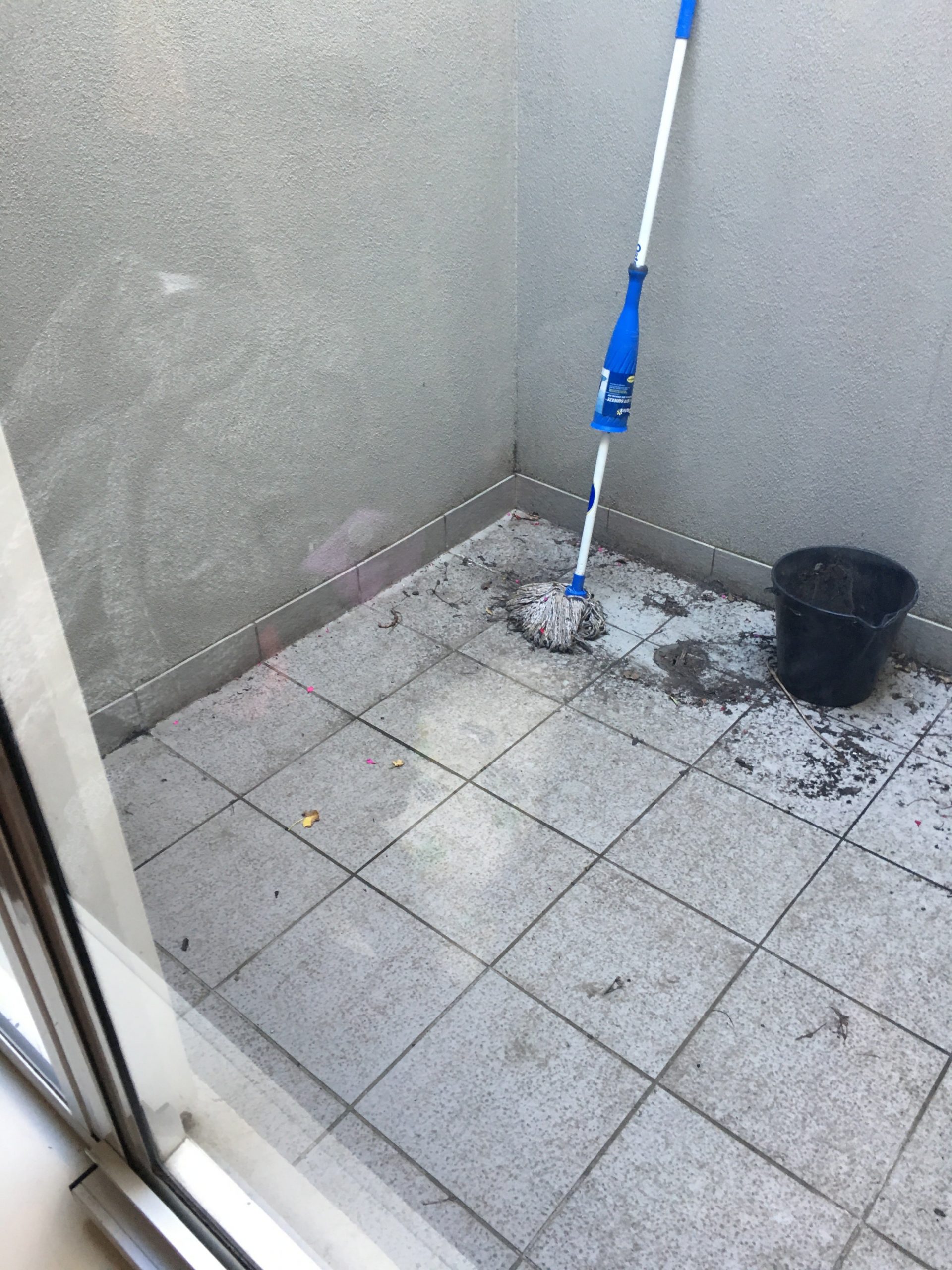 renovation homes budget